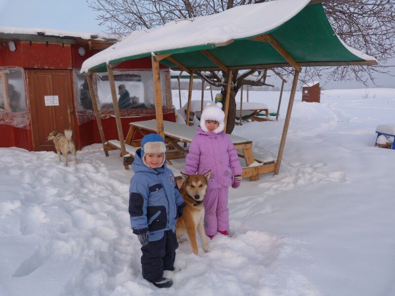 Дети с местной собакой у зимней "беседки"