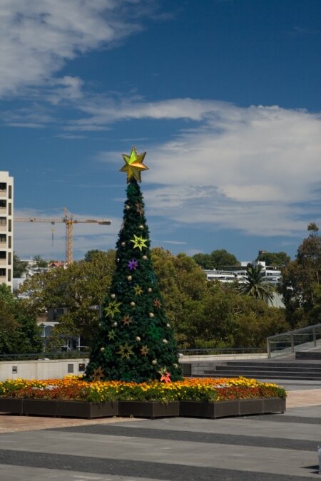 Sydney Christmas tree
