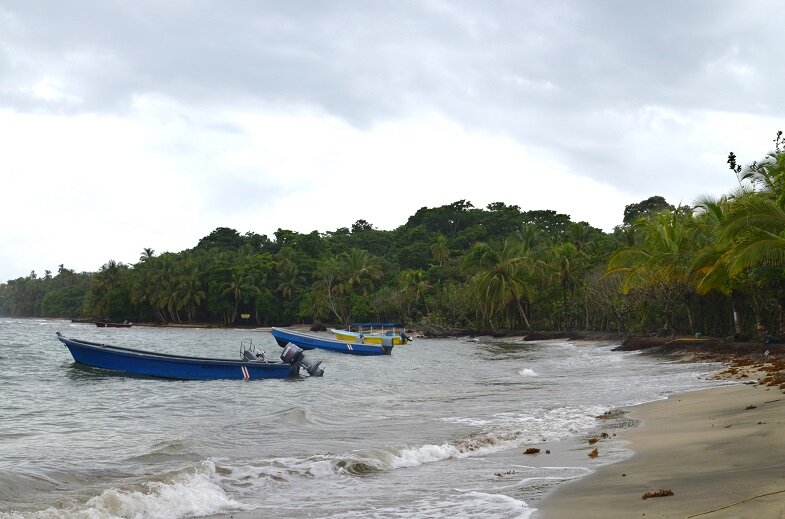 Пляж Мансанильо, Коста-Рика